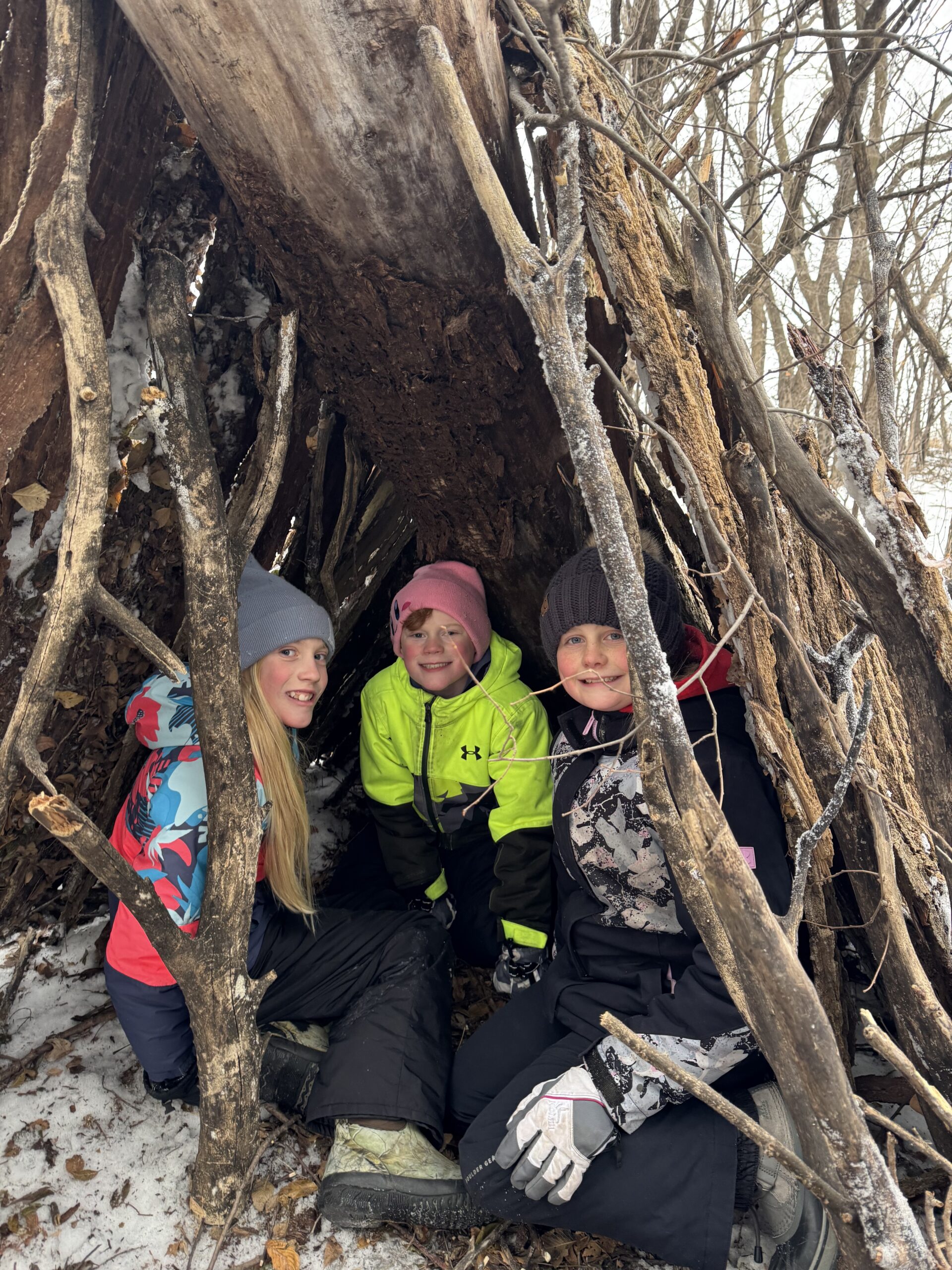 Stick: tree Fort