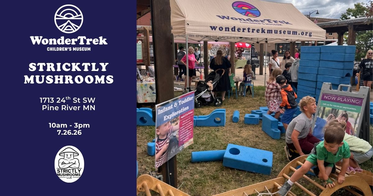 WonderTrek Children's Museum booth at the Strictly Mushrooms Vendor Market in Pine River featuring hands-on family play activities.