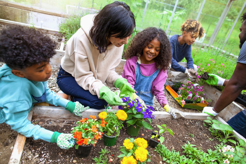 WonderTrek-childrens-kitchen-gardens
